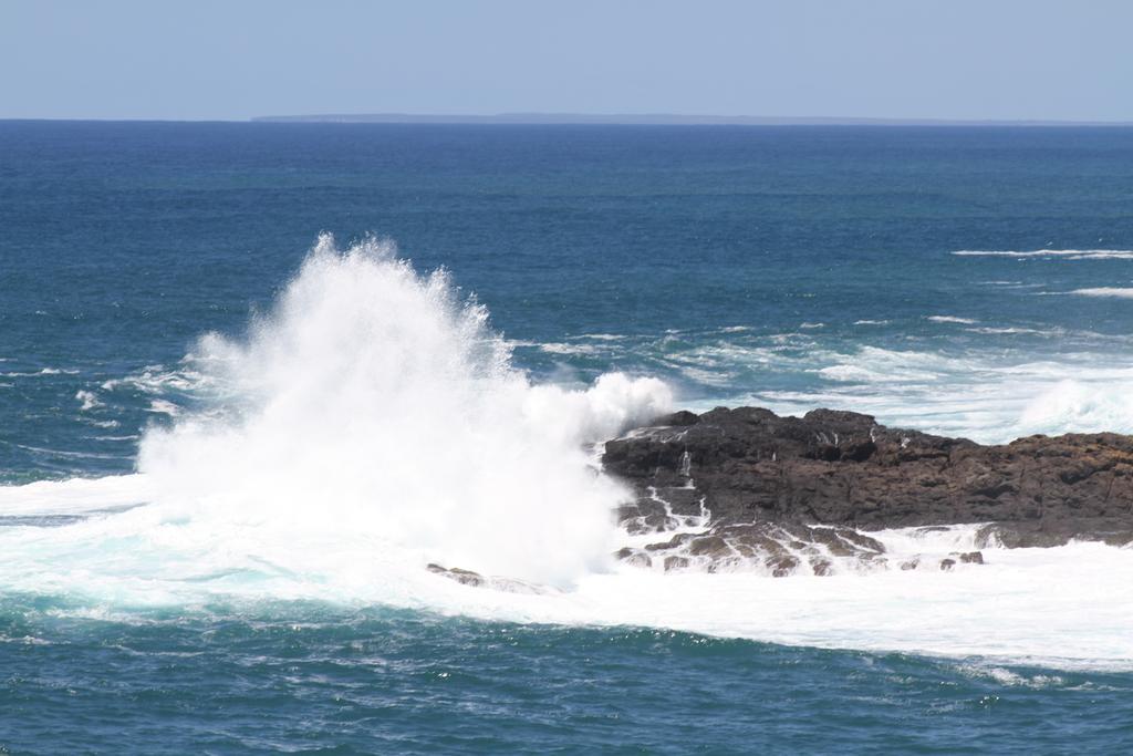 Sea Whispers Bed & Breakfast Kiama Dış mekan fotoğraf